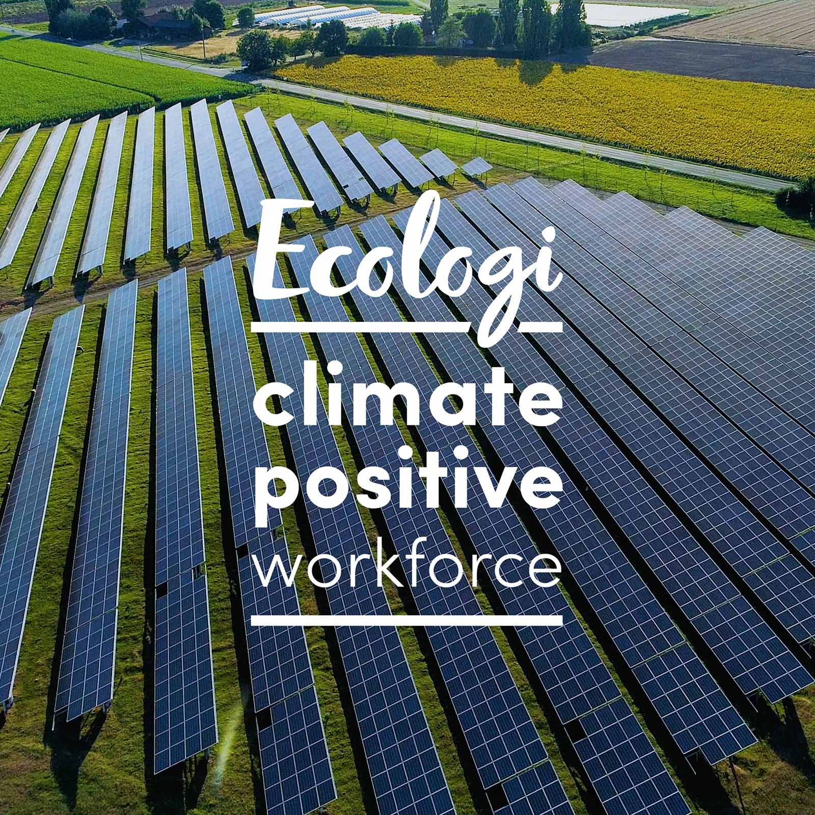 Climate Positive Workforce